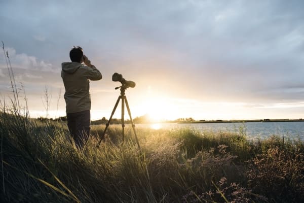 Observación con Swarovski Optik
