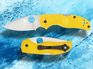 Native 5 Salt Spyderco