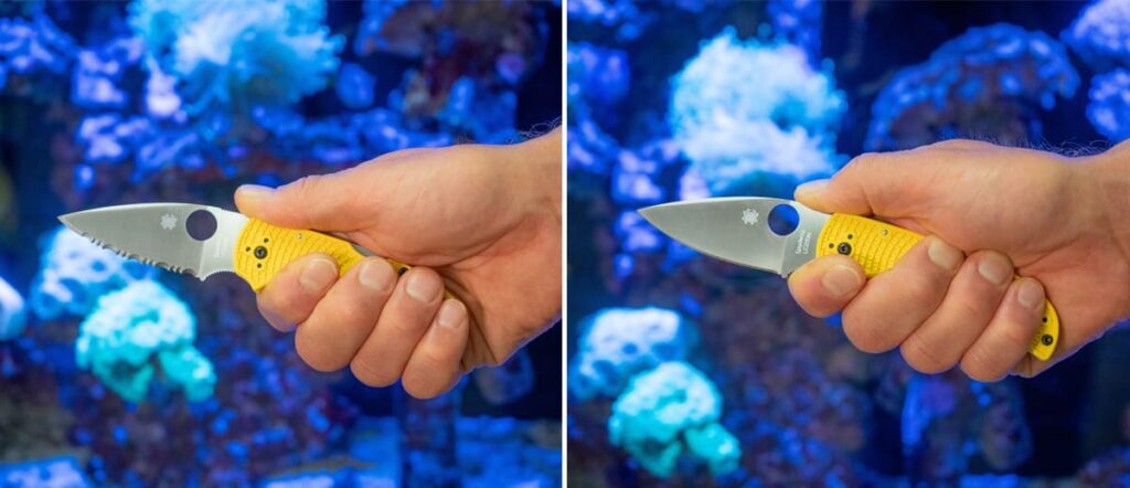 Native 5 Salt Spyderco