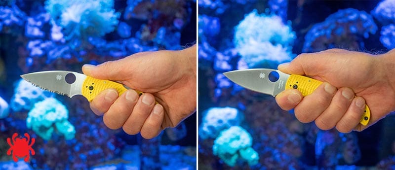 Navaja Náutica Spyderco Native Salt